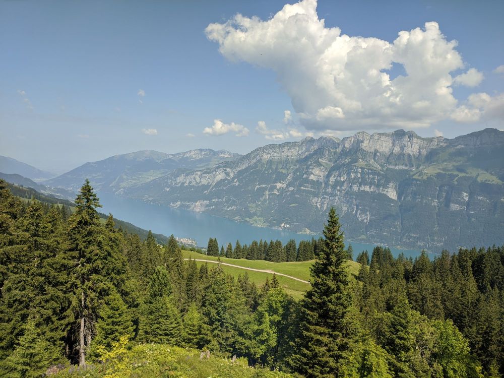 img_20240720_1657178211426584747333983