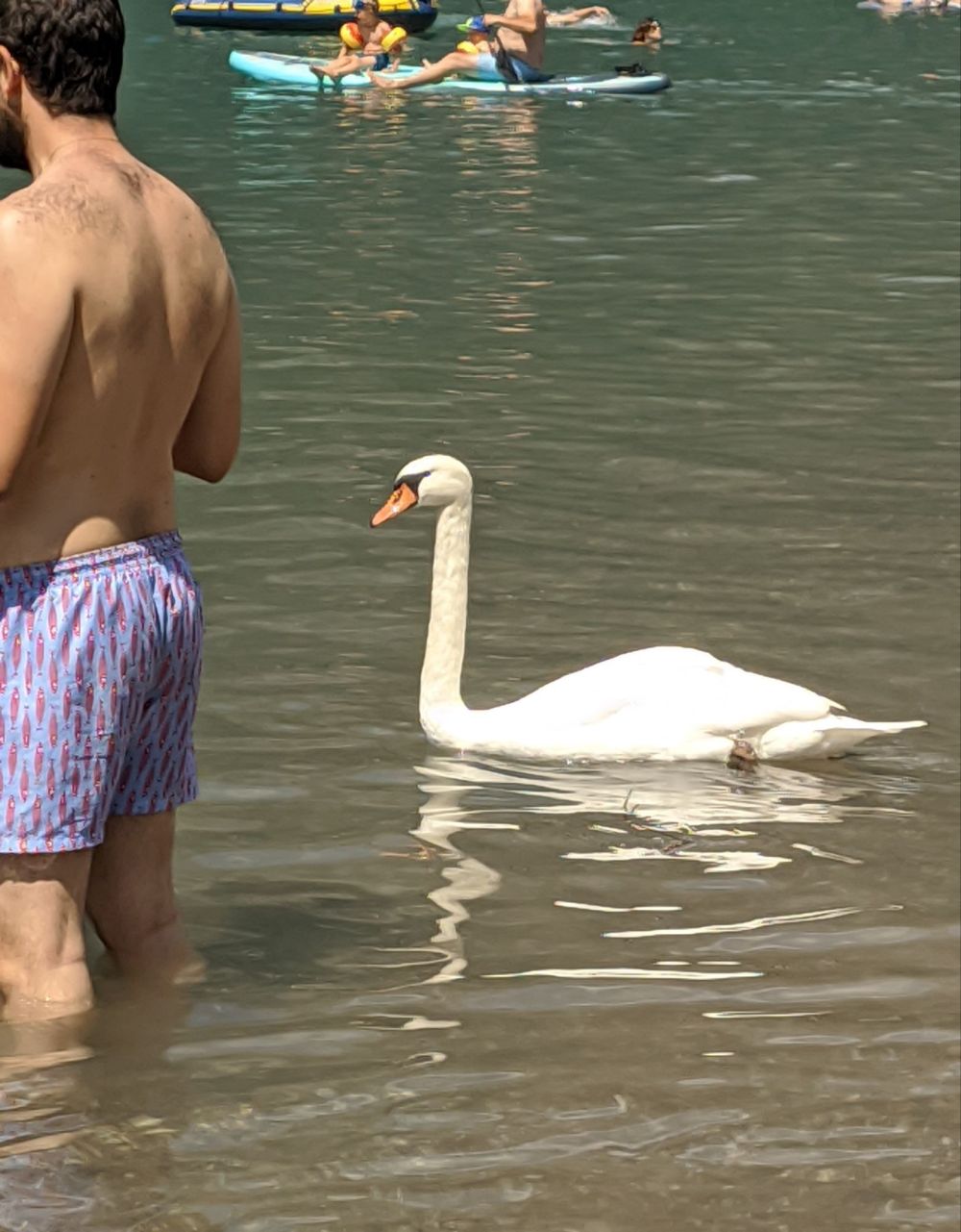 img_20240720_2011205929391661029843958