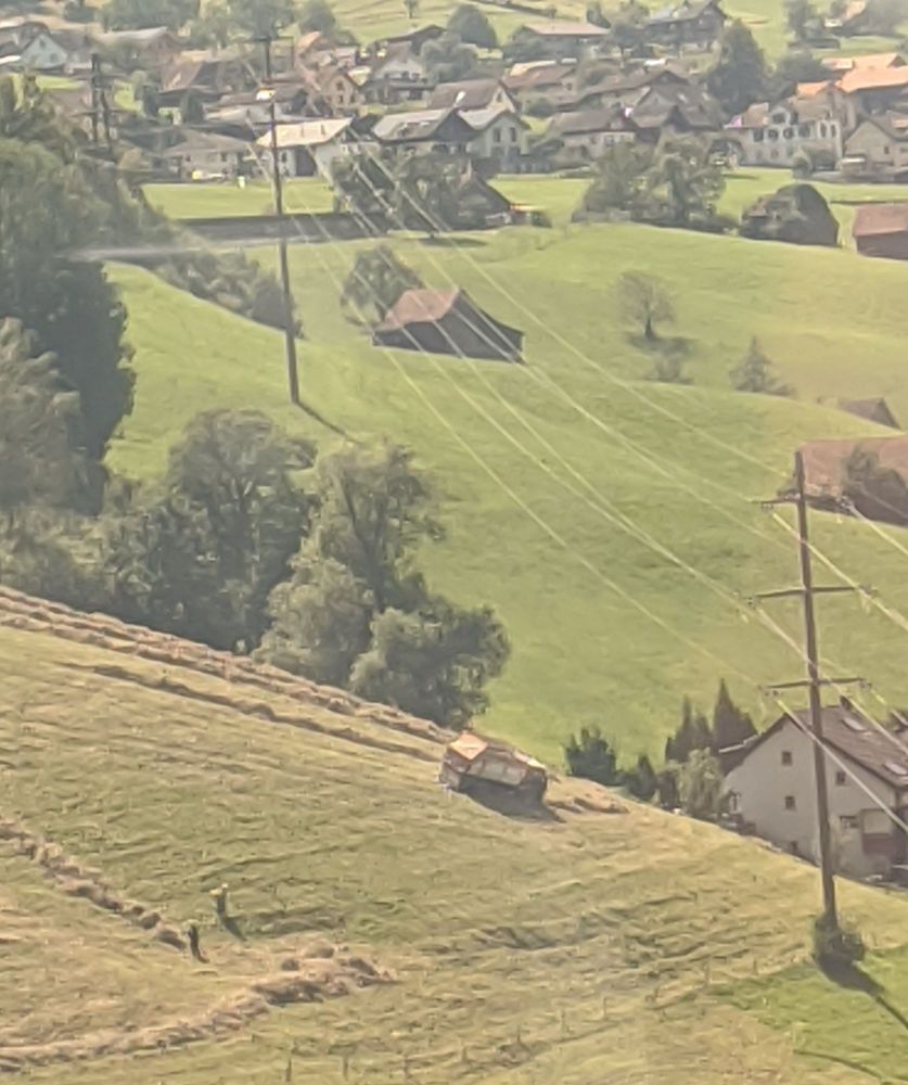 img_20240720_2043183245386567949450196