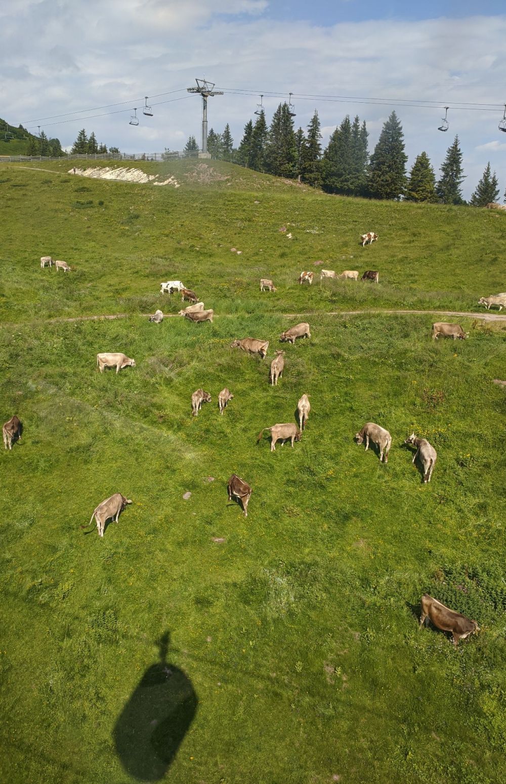 img_20240721_1613053997111880404469656