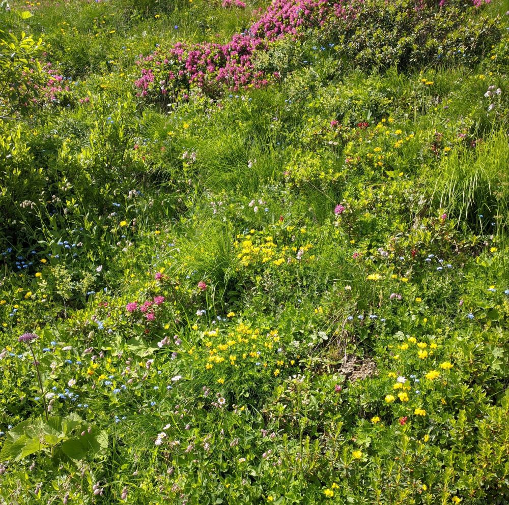 img_20240721_1659056065151414205797160