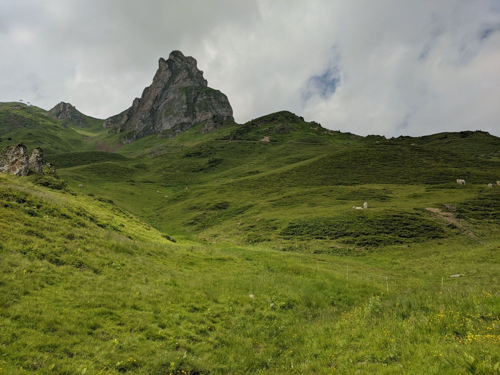 img_20240721_1734253730259337633750912