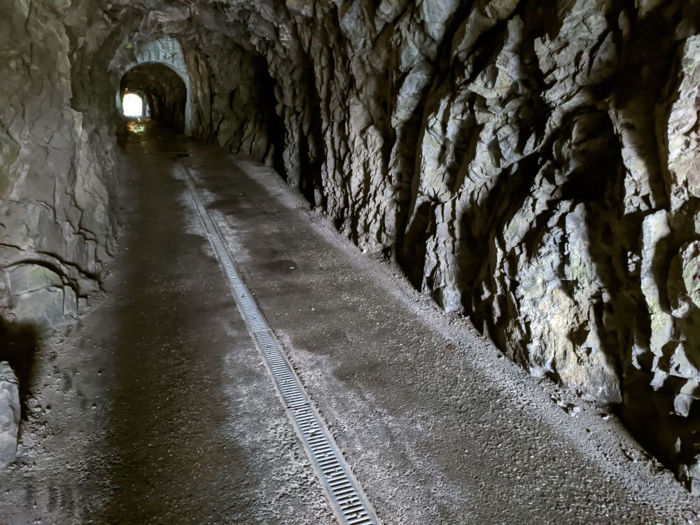 img_20240722_1950308682523493768743686